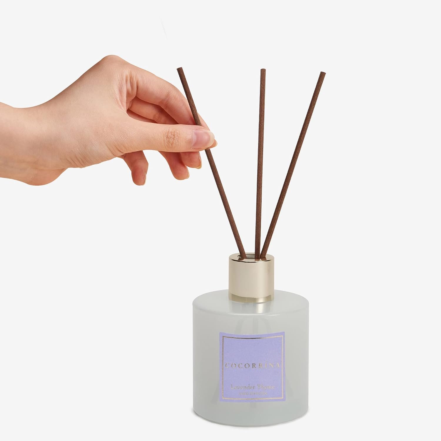 Cocorrína Premium Reed Diffuser Set with Preserved Baby's Breath & Cotton Stick Lavender Thyme | 6.76 Fl.oz Scent Diffuser for Bedroom Bathroom Home Décor - Image 4