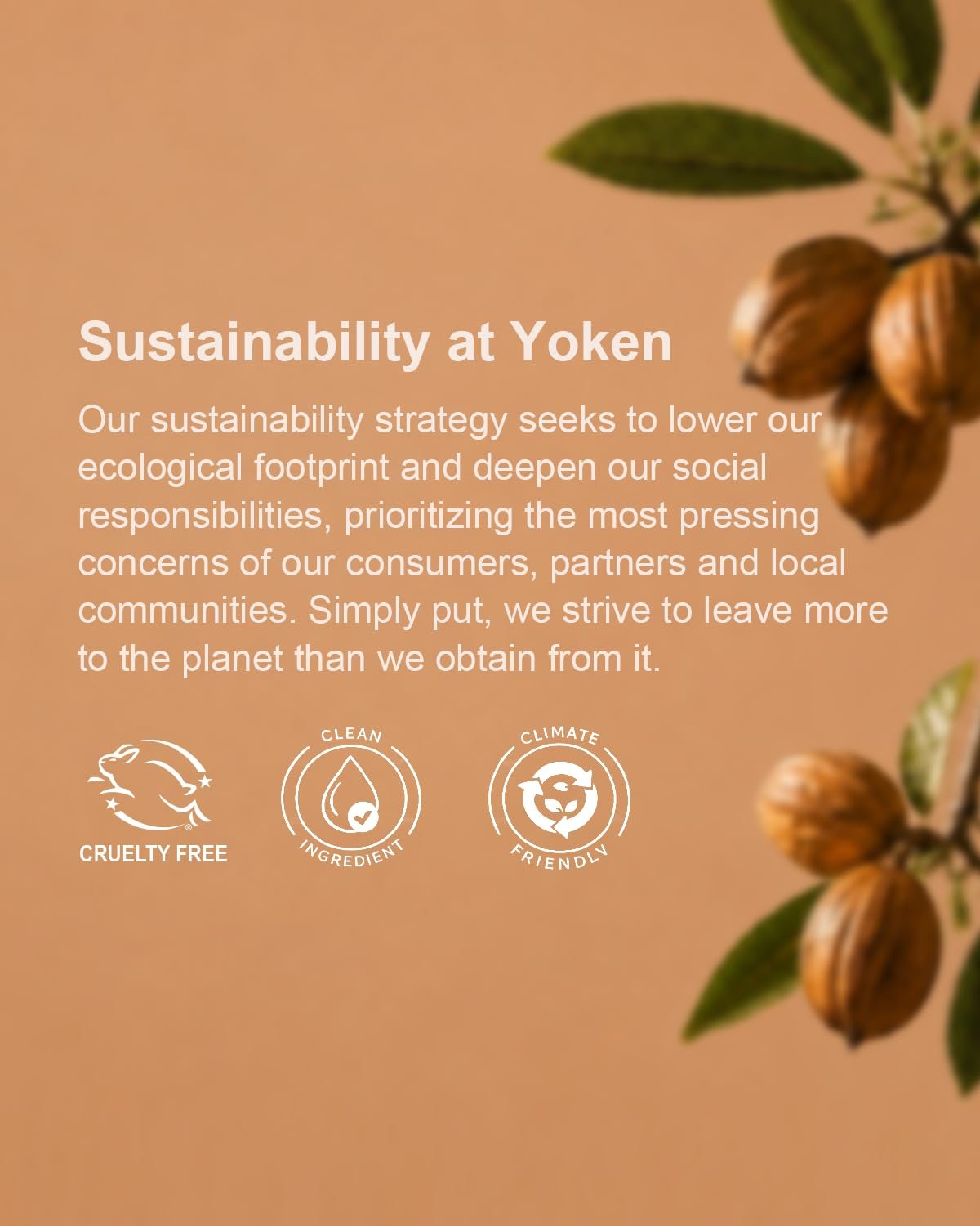 Yoken 20% Shea Butter Hand Cream Gift Set, 6 x 1oz Travel Size | Gentle Soothing Moisturizing Delicate Tin Almond Clean Ingerdients Almond Citrus Verbena and Floral Scented - Image 6