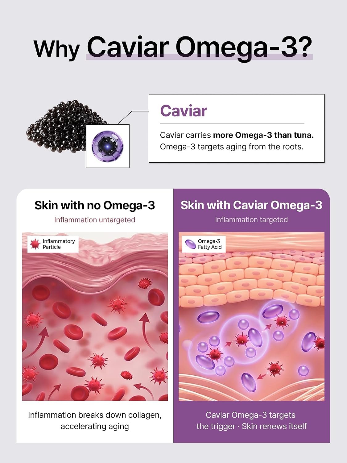 Caviar Glow Dewy Cream, korean face moisturizer, Anti-Aging Skin Cream | Omega 3 Collagen with Hyaluronic Acid, Firming & Plumping, Deep Hydration, Glass Skin, Redness Reducing Skin Care tightening - Image 4