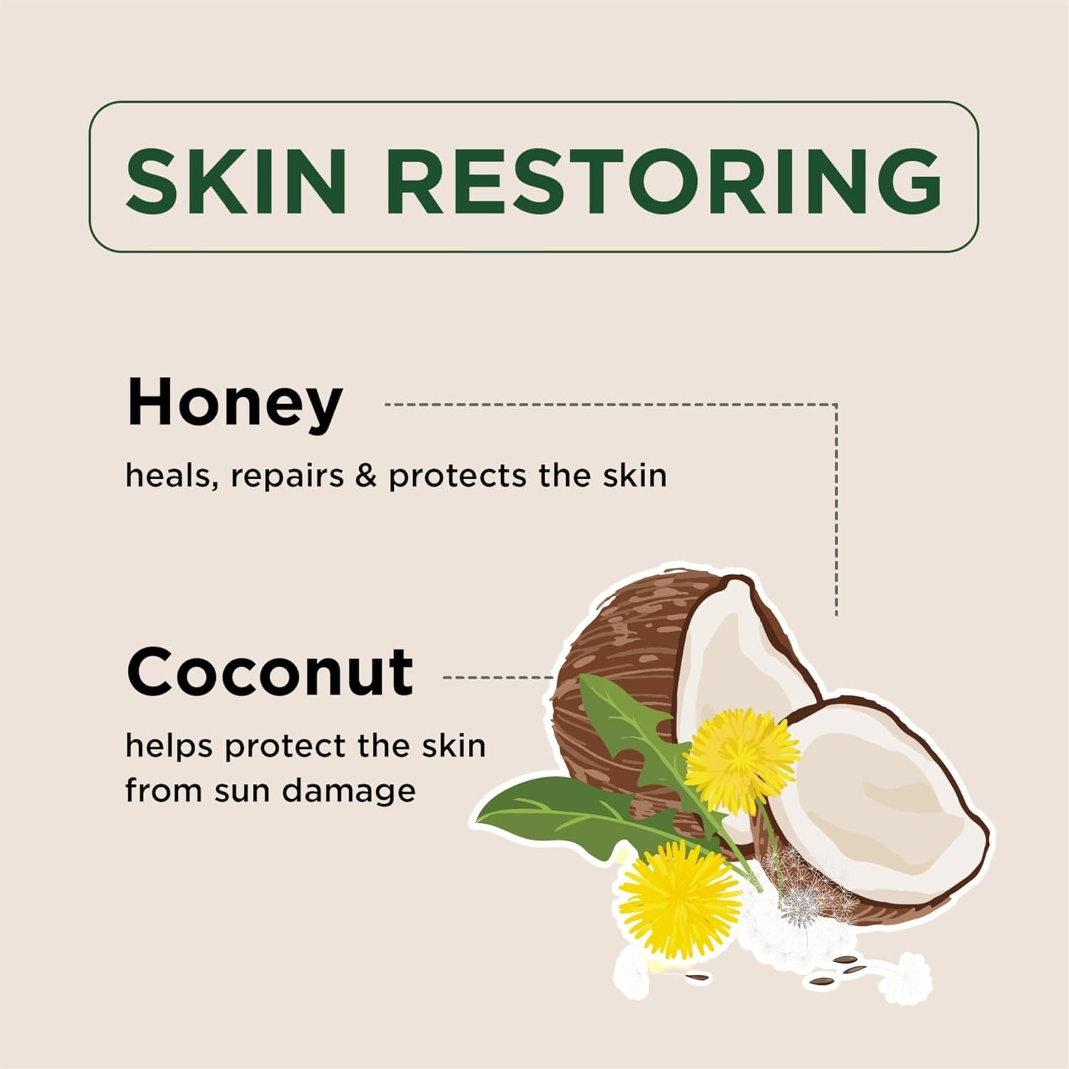 Petal Fresh Pure, Restoring Body Butter, Heals, Repairs & Protects Skin with Honey & Coconut Oil, 8 Fl oz - Image 2