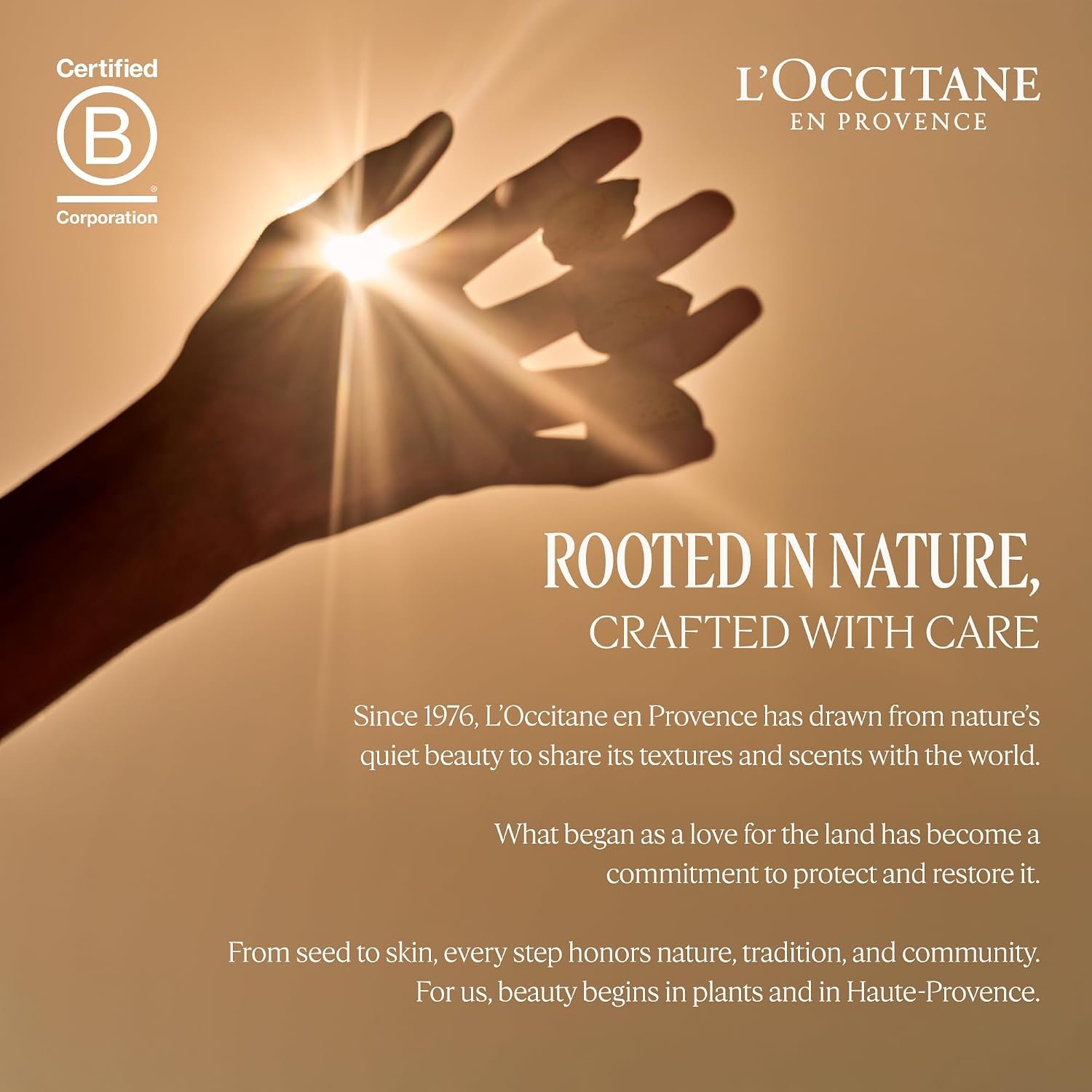 L'OCCITANE Shea Nail & Cuticle Oil, Nourishing Brush-On Moisture for Stronger & Healthier Nails, Hydrating Care for Manicures with Almond Oil, Vegan - Image 8