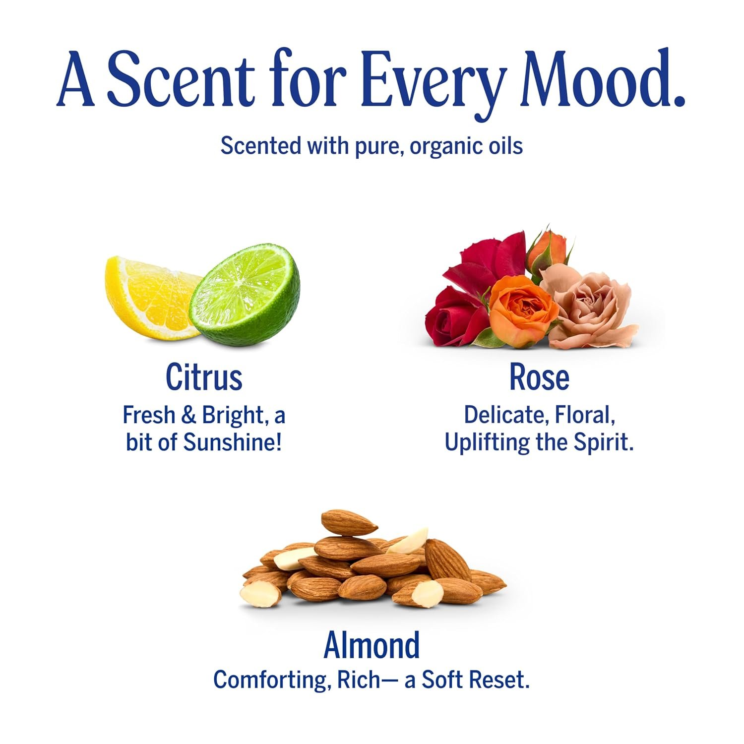 Dr. Bronner's Pure-Castile Magic Bar Soaps (5 Ounce Variety Gift Pack) Almond, Unscented, Lavender, Peppermint, Citrus, Rose - Made with Natural & Organic Certified Oils, Vegan, Non-GMO - Image 6