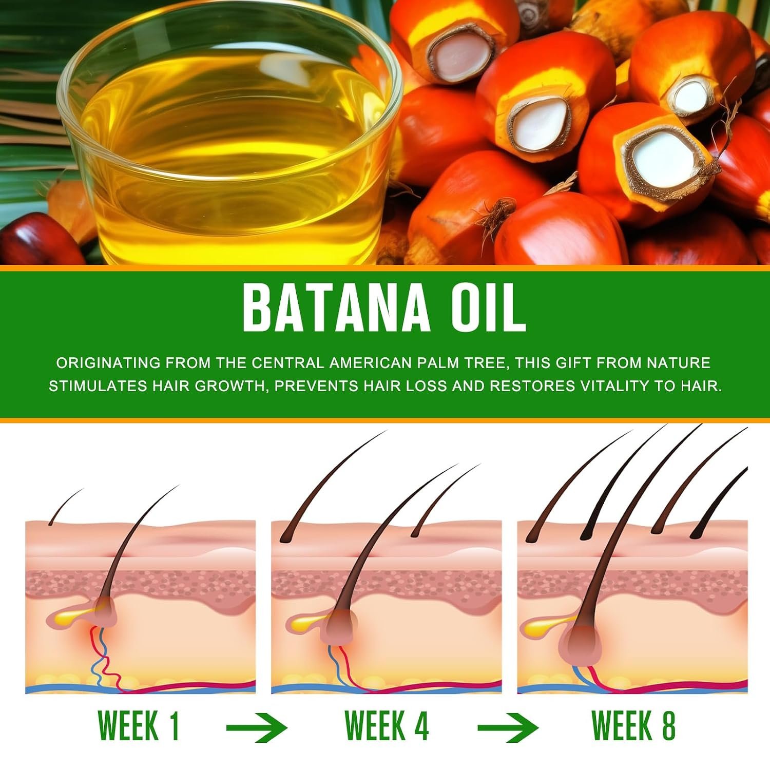 Batana Oil - 100% Pure & Natural from Honduras for Hair Growth, Eliminates Split Ends, Enhances Radiance & Nourishment for All Hair Types, 2.02 fl oz - Image 6