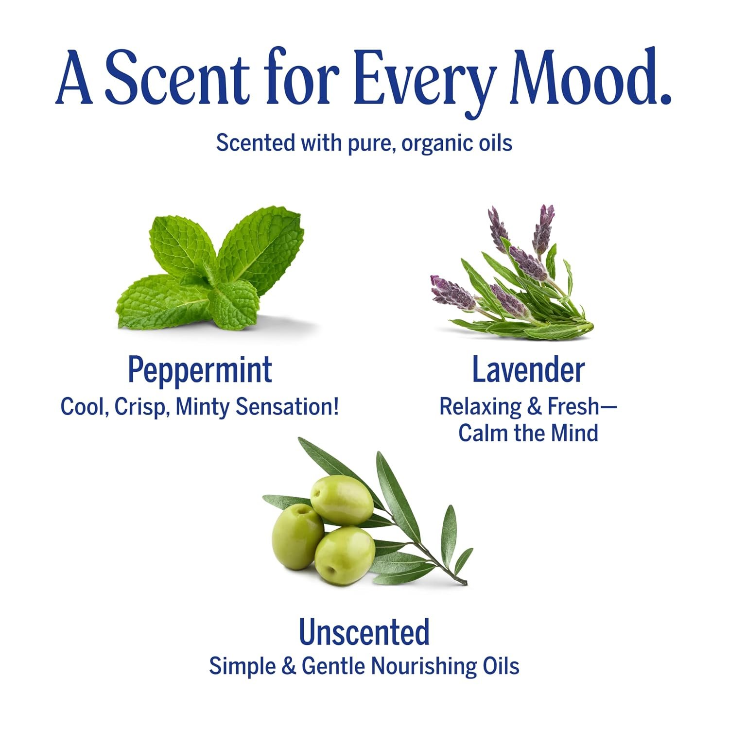 Dr. Bronner's Pure-Castile Magic Bar Soaps (5 Ounce Variety Gift Pack) Almond, Unscented, Lavender, Peppermint, Citrus, Rose - Made with Natural & Organic Certified Oils, Vegan, Non-GMO - Image 5