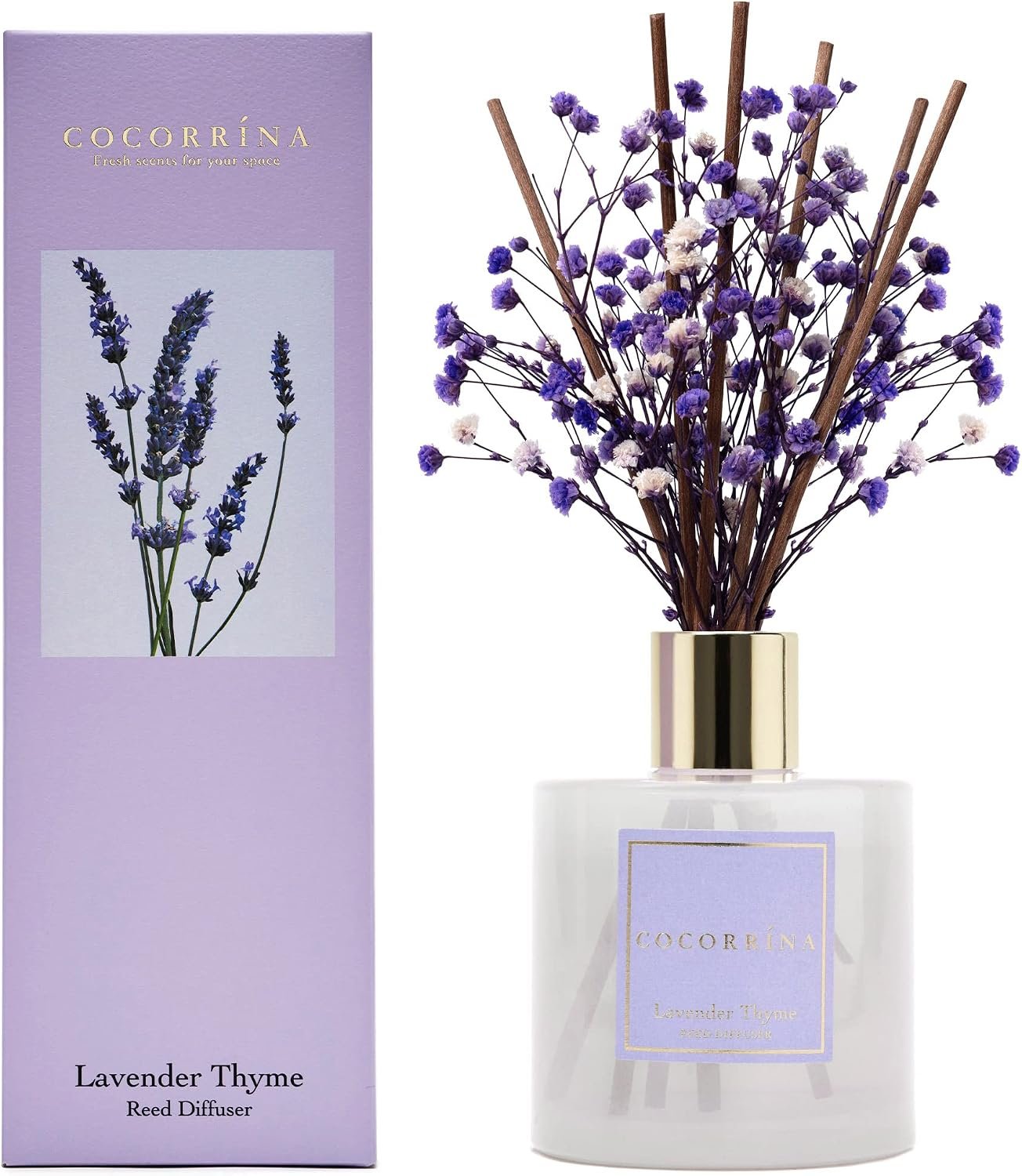 Cocorrína Premium Reed Diffuser Set with Preserved Baby's Breath & Cotton Stick Lavender Thyme | 6.76 Fl.oz Scent Diffuser for Bedroom Bathroom Home Décor