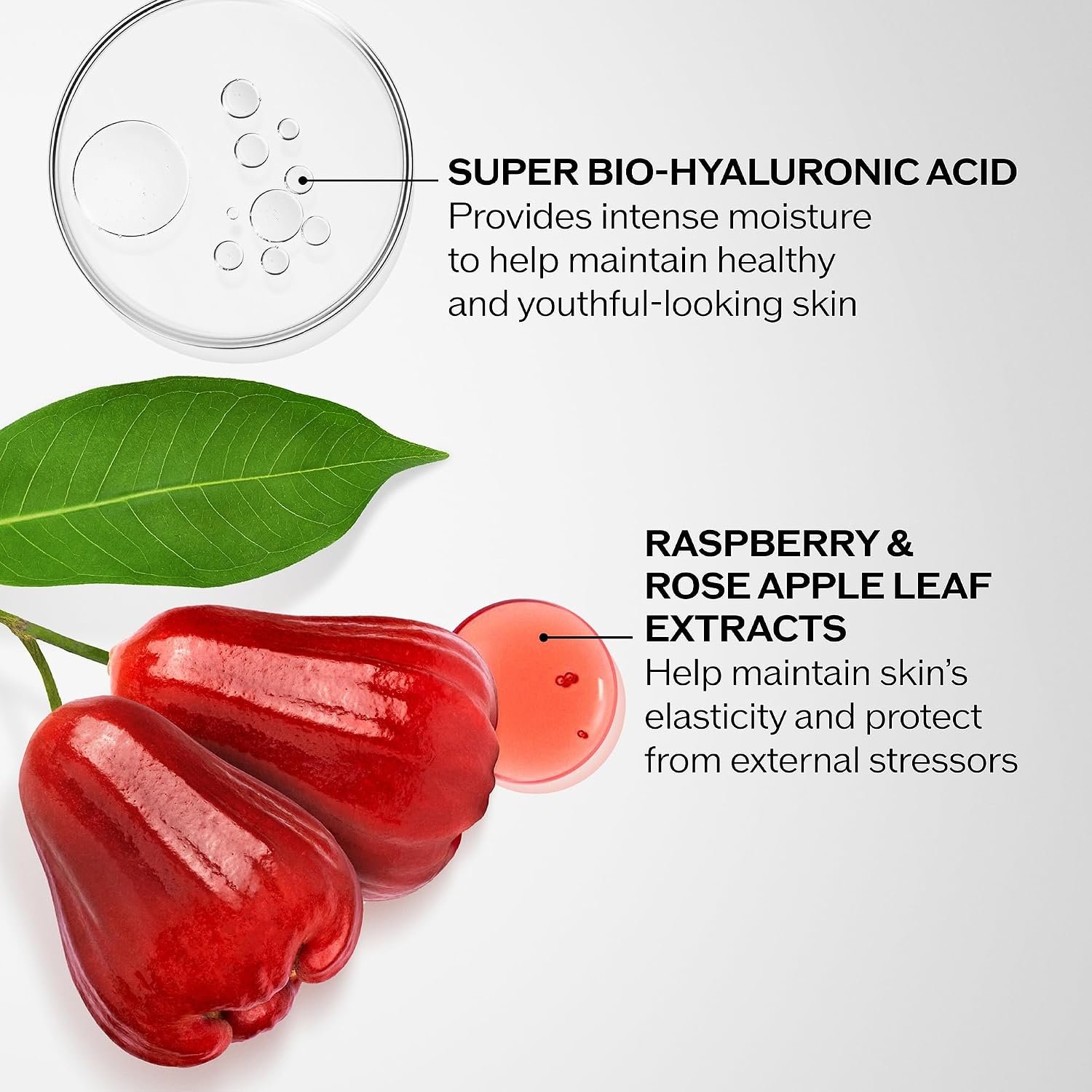 Shiseido Bio-Performance Advanced Super Revitalizing Cream - Anti-Aging Moisturizer - Reduces Appearance of Fine Lines & Wrinkles, Provides Long-Lasting Hydration - Image 3