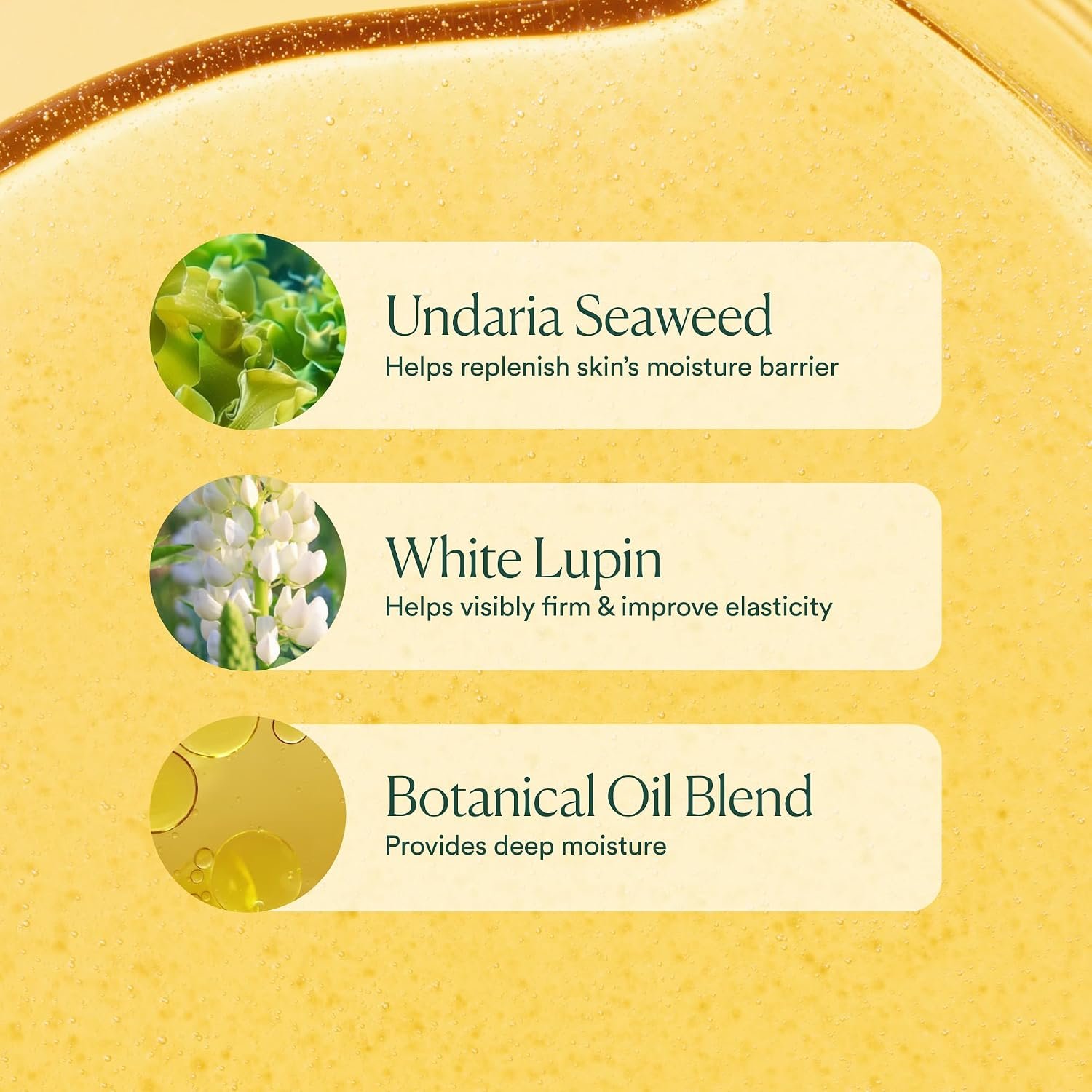 OSEA Undaria Algae Body Oil, Visibly Firming, Deeply Moisturizing, 5 oz | Improves Elasticity • Silky Body Glow • Lightweight, Non-Greasy • Citrus Scent • Seaweed Skincare • Vegan & Cruelty-Free - Image 7