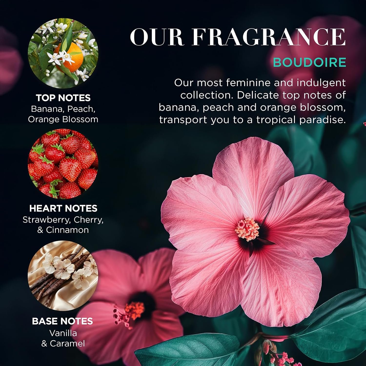 Baylis & Harding Boudoire Luxury Hand Cream Set, Gift Set for Women | Tropical Paradise, Vegan Friendly, 1 Pack - Image 4
