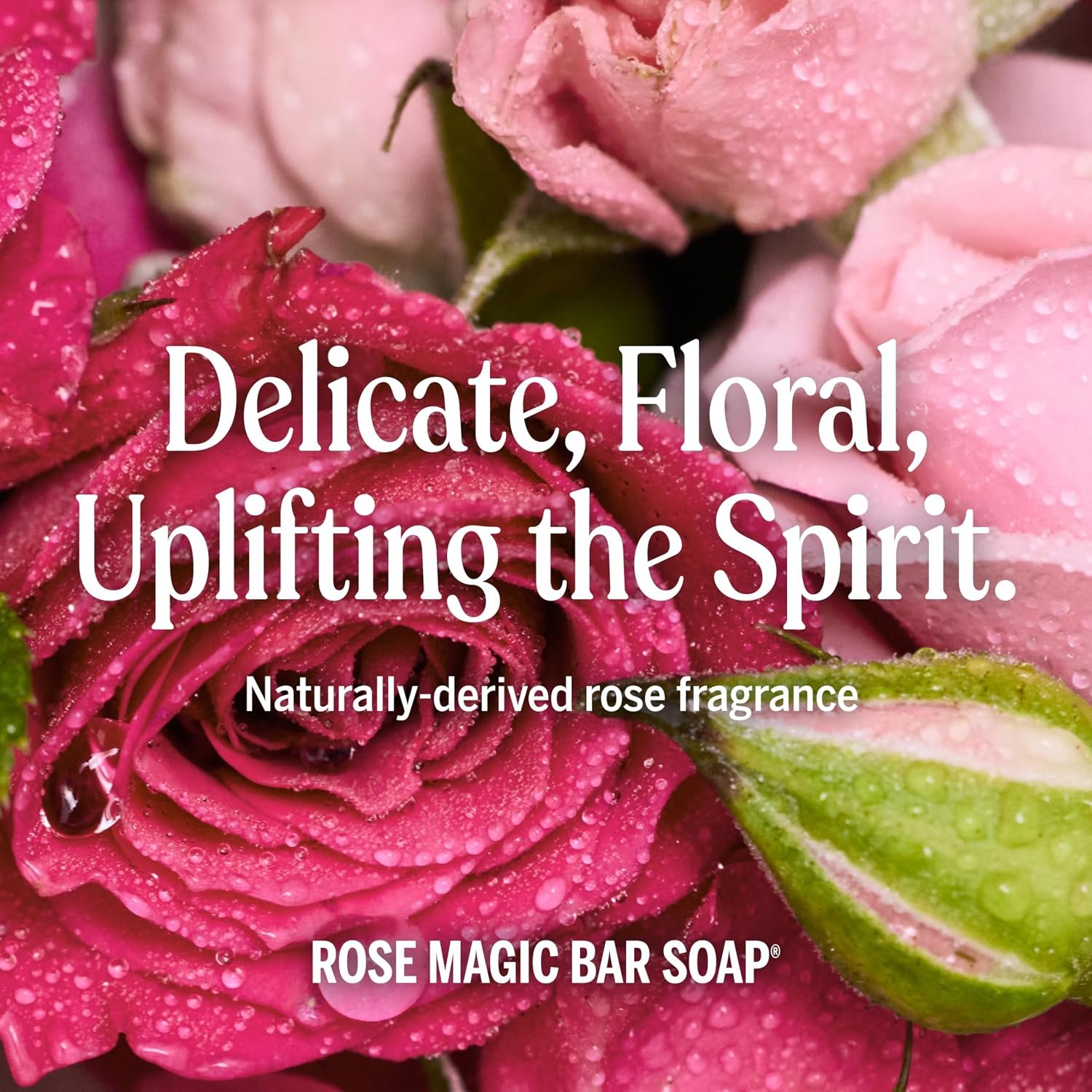 Dr. Bronner's Pure-Castile Magic Bar Soaps - Made with Regenerative Organic Certified Oils - For Face, Body, Hair- Vegan Soap Bars for Men & Women - Rose 2 pack, 5 oz - Image 5