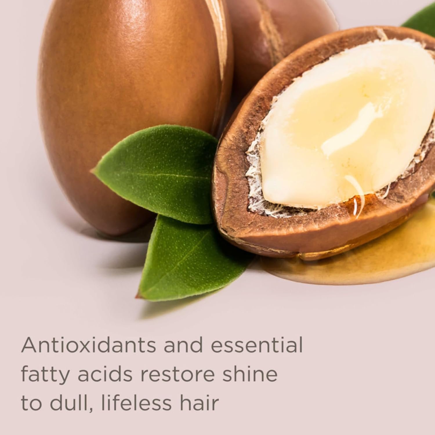 Hairitage Argan Oil Hair Oil Spray for Frizzy, Curly + Dry Damaged Hair - Lightweight Hair Oil Conditioner for Women + Men - Styling + Finishing + Control Flyaways - Moisturize + Repair Hair - Image 4