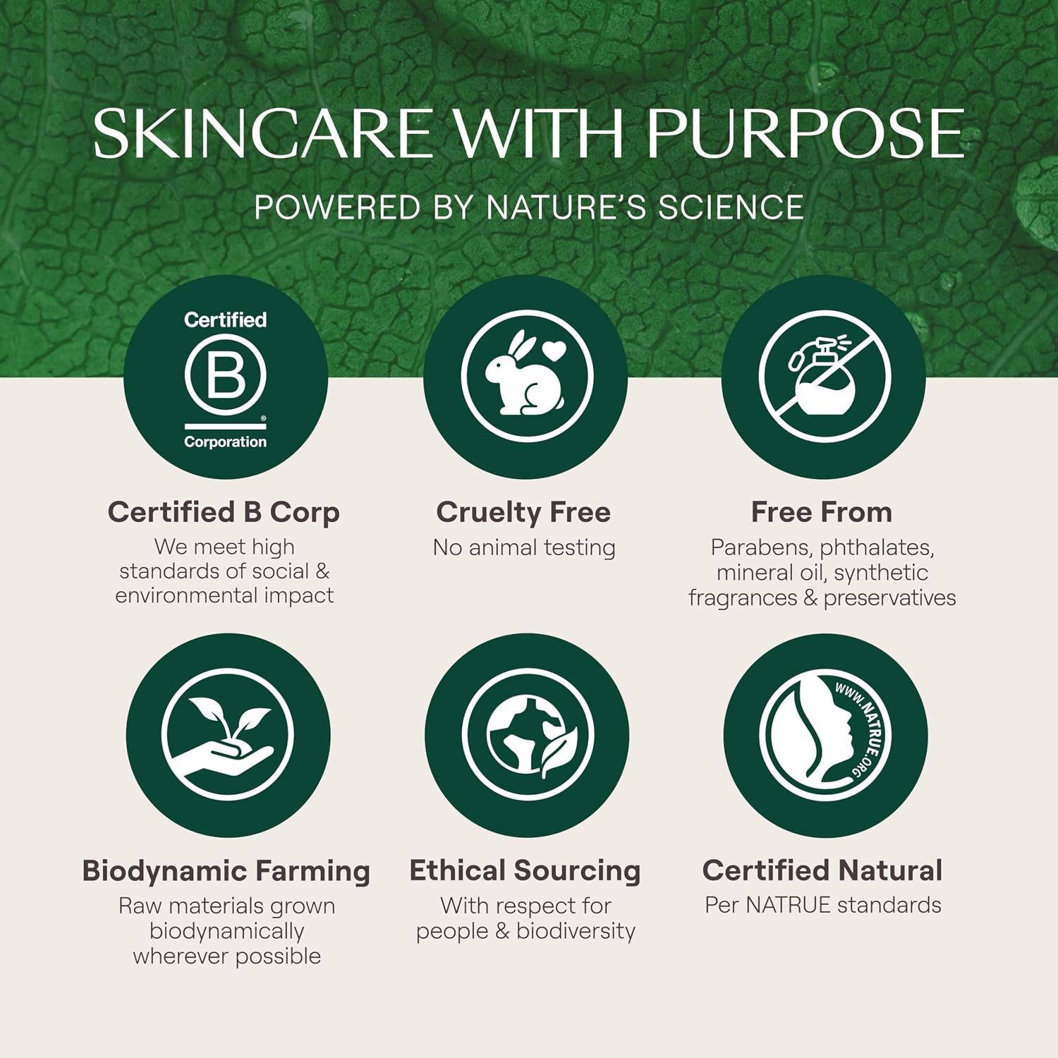 Weleda Skin Food Original Ultra-Rich Body Cream 2.5 Fluid Ounce, Plant Rich Hydrating Moisturizer with Pansy, Chamomile and Calendula - Image 7