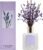 Cocorrína Premium Reed Diffuser Set with Preserved Baby’s Breath & Cotton Stick Lavender Thyme | 6.76 Fl.oz Scent Diffuser for Bedroom Bathroom Home Décor